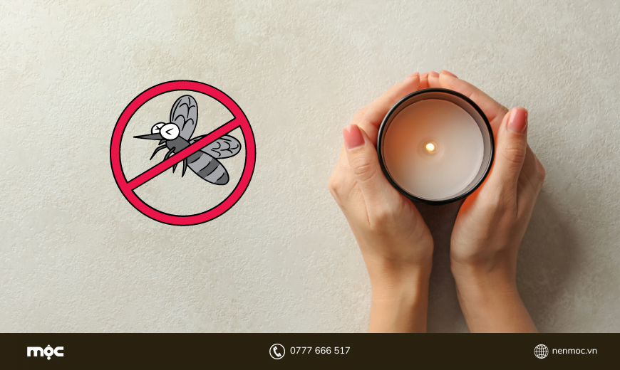 Xua đuổi muỗi và côn trùng